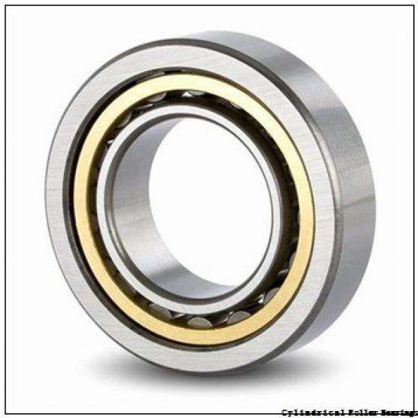 160 mm x 290 mm x 48 mm  FAG NUP232-E-M1  Cylindrical Roller Bearings #1 image