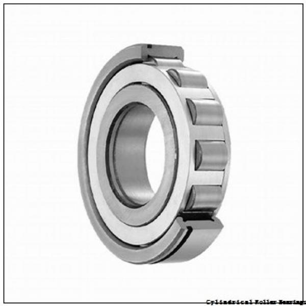 20 mm x 47 mm x 18 mm  FAG NUP2204-E-TVP2  Cylindrical Roller Bearings #1 image