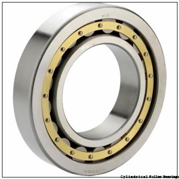 FAG NUP308-E-TVP2-C3  Cylindrical Roller Bearings #1 image